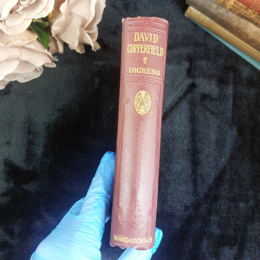 Ward Lock David Copperfield Dickens Illustrated 1912 Antique Book Good Condition1