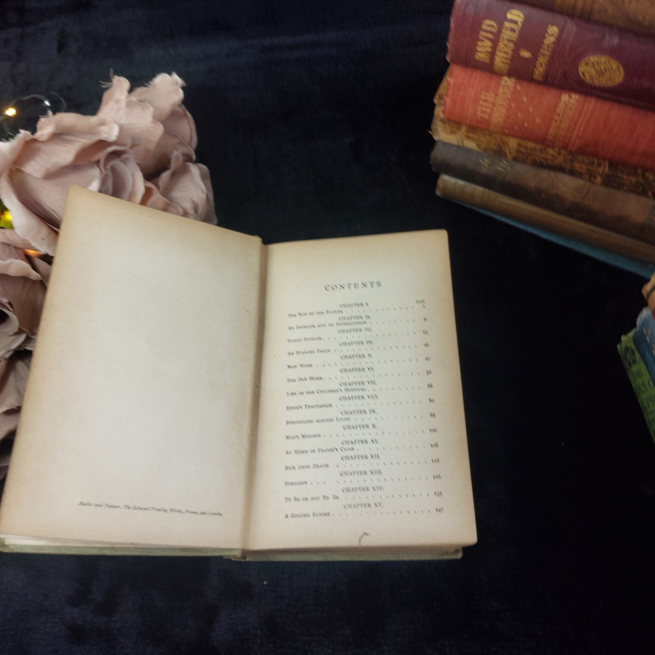 Paull Ripley Flower of the Grassmarket Book Decorated Cover 1900 Hodder antique6