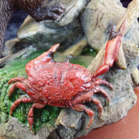 Thumbnail for Border Fine Arts Country Characters A1487 Nipped Otter Figurine Crab 6.5in 20037