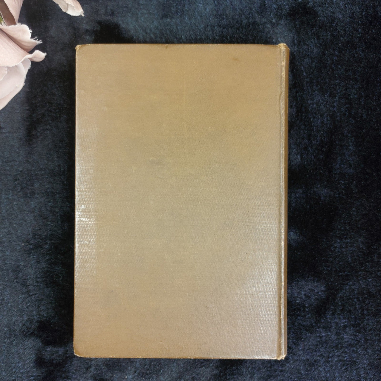 Marchant Under Clearer Skies Book Good Floral Cover Girl's Fiction Rare Antique 1