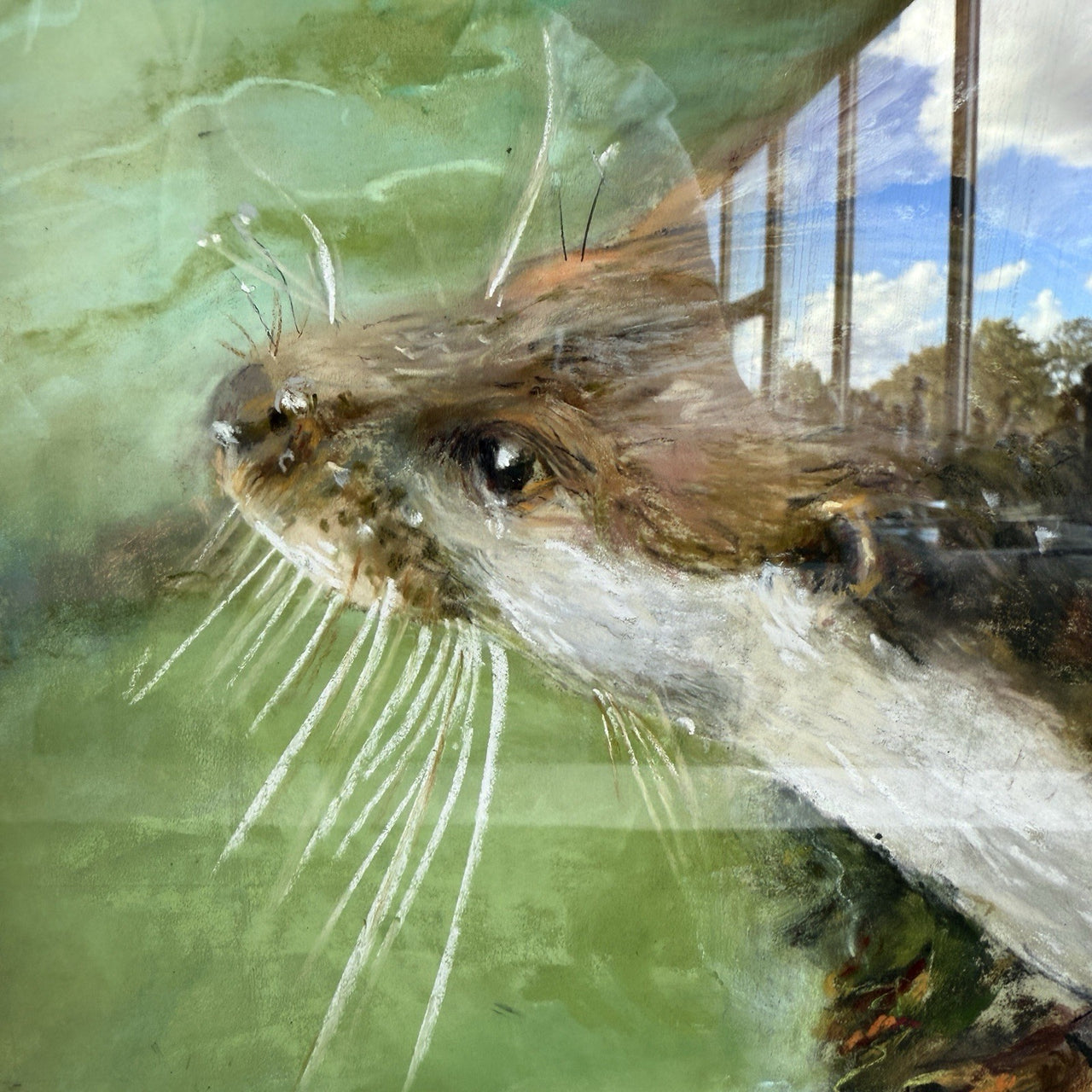Otter in Water Signed Shirley Williams original Watercolor Painting framed large4