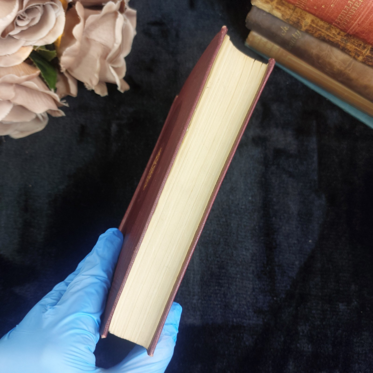 Ward Lock David Copperfield Dickens Illustrated 1912 Book Antique Good Condition3