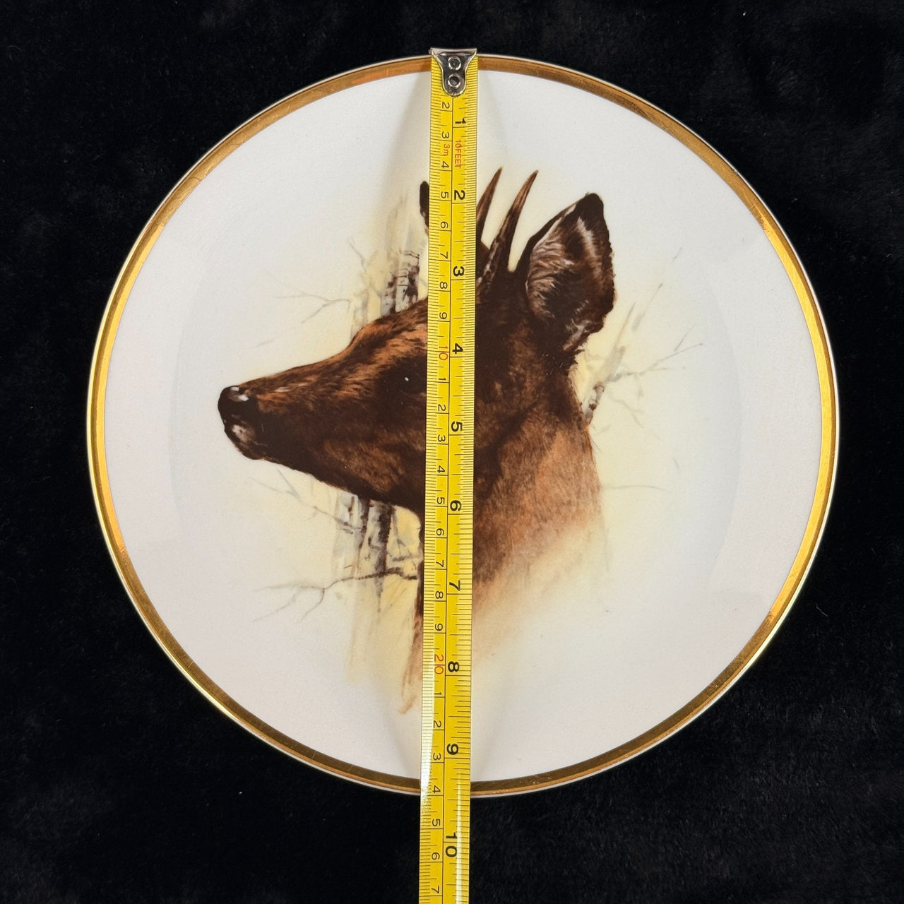 Spode Wildlife Series Fox Plate Bohemia Deer Czechoslovakia Art Bone Decor China8