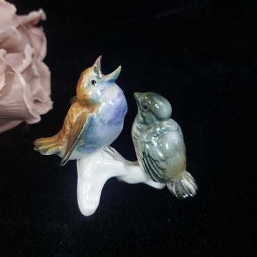 Karl Ens Volkstedt RareENS Porcelain Bird Figurine Pair – hand painted, german0