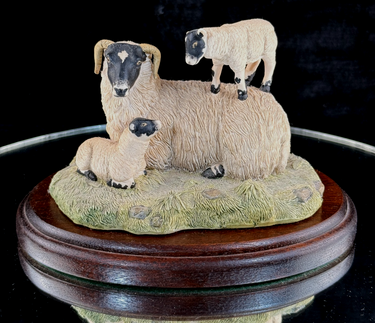 Border Fine Arts King of the Castle JH37 1989 Sheep Figurine D. Walton J Herriot0