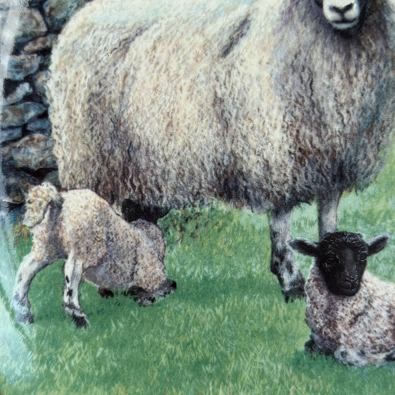 Border Fine Arts The "Spring Lambing" Collector's Plate James Herriot Series21