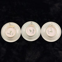 Thumbnail for Heinrich Bavaria Miniature Plates Set of 3 Signed M Birus Birds Cottage Germany3