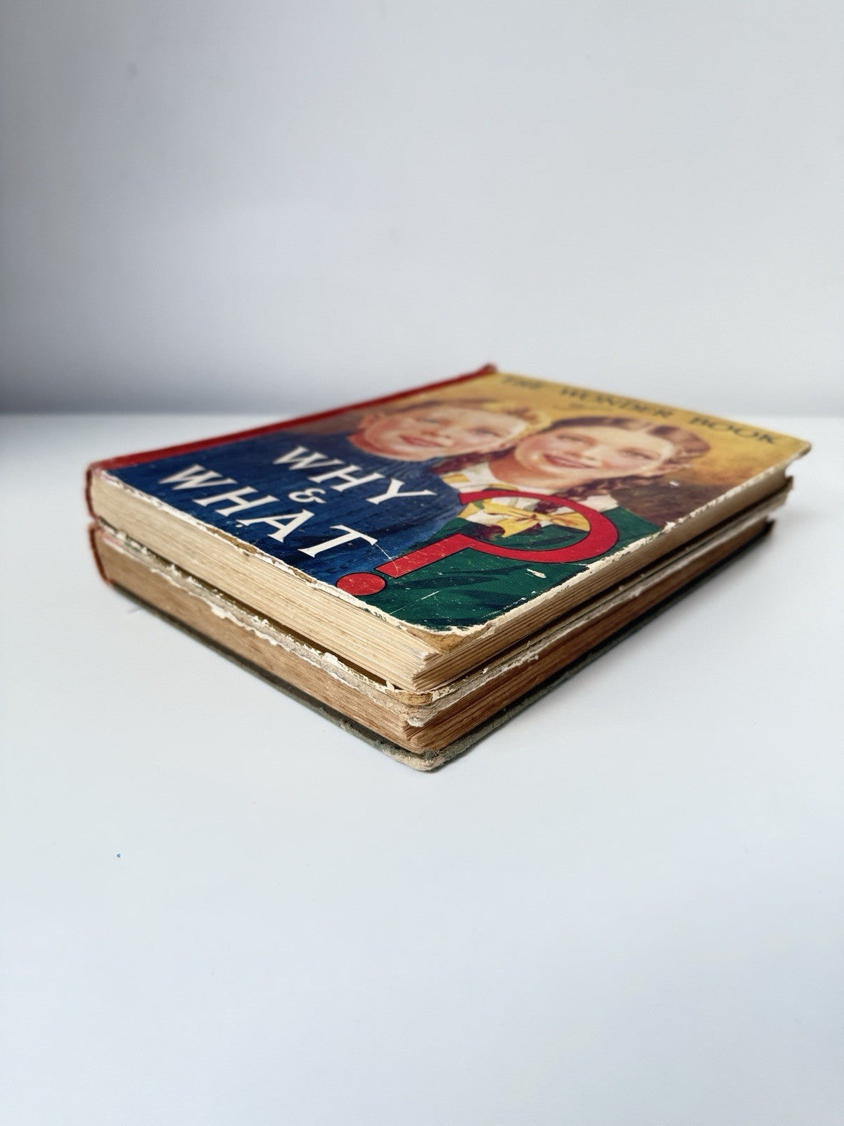 Wonder Why Book & What Our Air Force 1940 RAF Vintage Educational Lot WWII Gift14