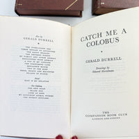 Thumbnail for Companion Book Club Set x 3 1970s Gerald Durrell Reeman Markham Bond Decor Style7
