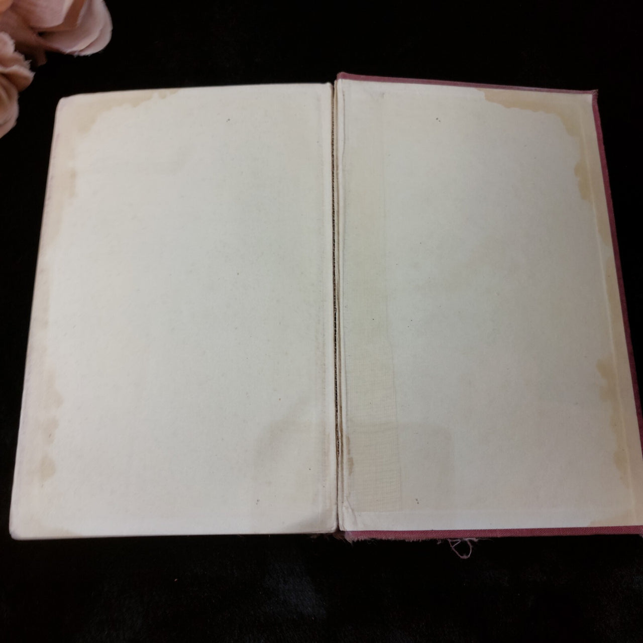 Cicely, Courtnedge Hutchinson HardcoverUnited Kingdom Collectable British  1953 9
