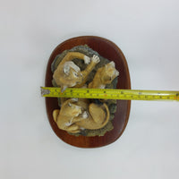 Thumbnail for The Leonardo Collection Figurine  “Lioness and Cubs” (1993) - 5