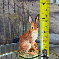 Thumbnail for Border Fine Arts Field Study Hare B0982 Boxed Wildlife Figurine Ornament5