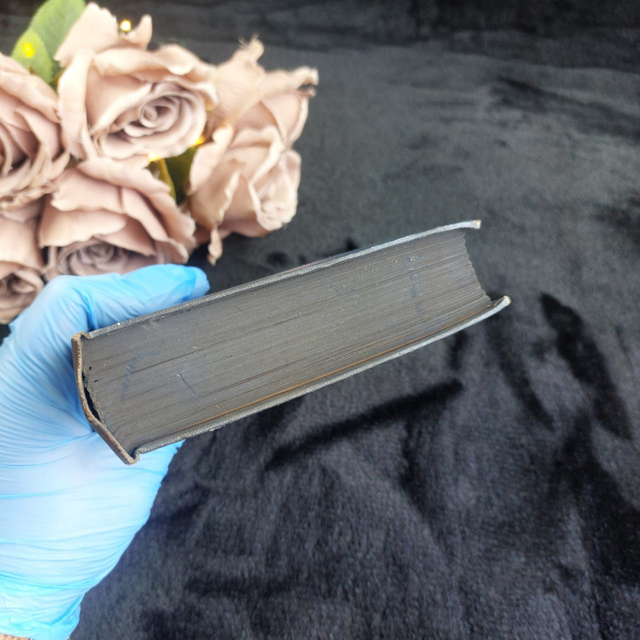 1930s Beauty Black Anna Sewell Illustrated Vintage Book Spine Blue Cloth Display8