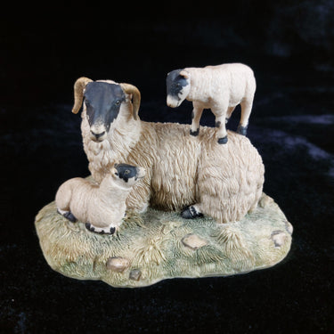 1980s Border Fine Arts D Walton Scottish Black Face Sheep Family Highland0