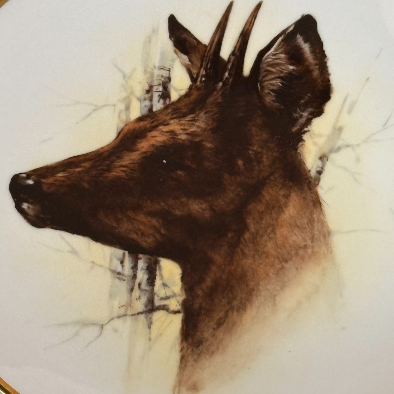 Spode Wildlife Series Fox Plate Bohemia Deer Czechoslovakia Art Bone Decor China10