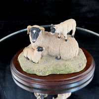 Thumbnail for Border Fine Arts King of the Castle JH37 1989 Figurine Sheep D. Walton J Herriot4