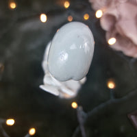 Thumbnail for Porcelanas Miquel Requena 