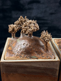 Thumbnail for Studio Landscape Pottery Lidded Boxes Set – Handmade Ceramic Art Storage Jars2