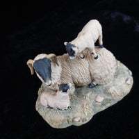 Thumbnail for Border Fine Arts 1980s D Walton Scottish Black Face Sheep Family Highland3