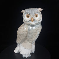 Thumbnail for Nao Lladro Porcelain Owl Figurine 7