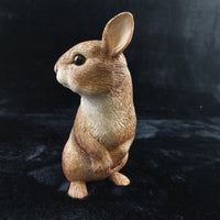 Thumbnail for Border Fine Arts Rabbit Collectible Figurine 2004 BFA Scotland 17cm, 638g decor8