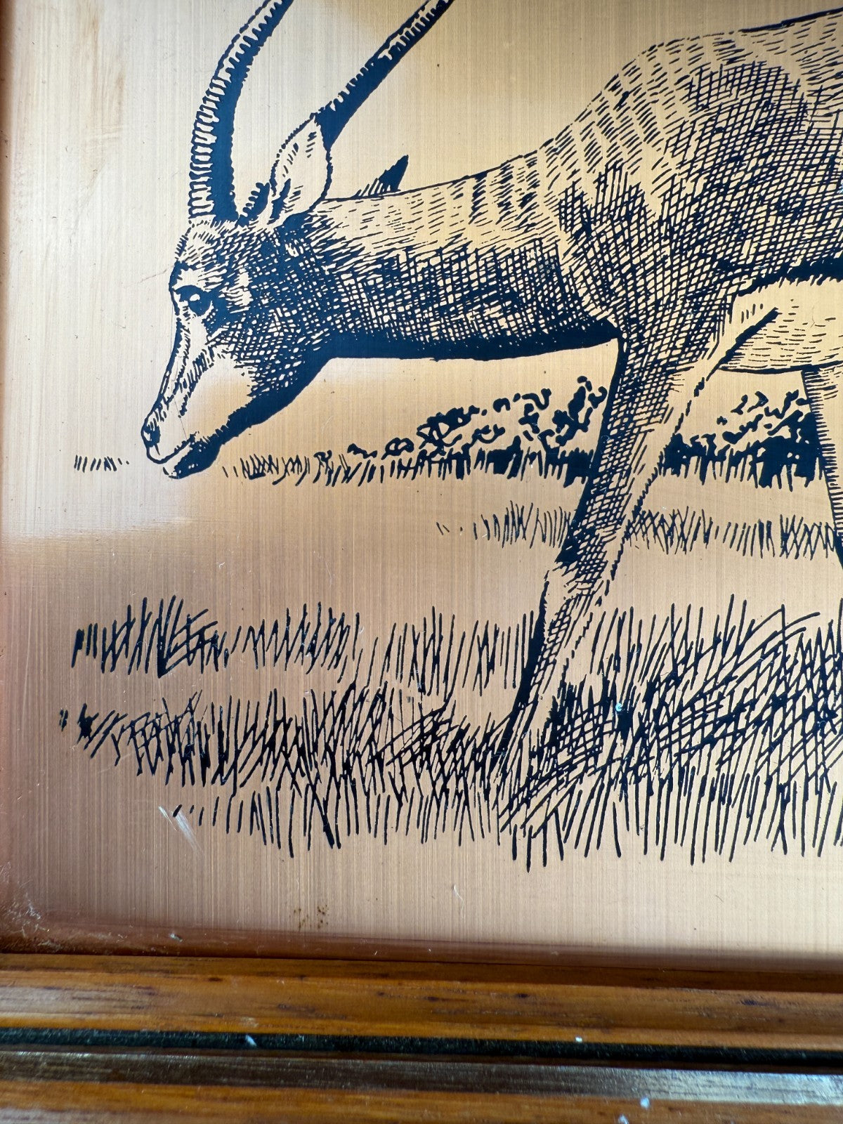 VINTAGE Copper Etchings framed Animals Wild and Tynemouth Castle - A Perfect Set9