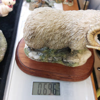 Thumbnail for Border Fine Arts 1995 Black Faced Tup Figurine by Anne Wall The County Show16