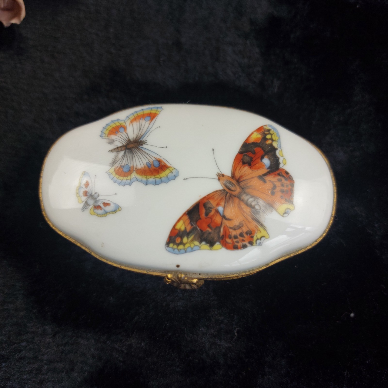 Porcelaine de France Good Butterfly Trinket Box Oval Hinged 4" Hand Painted 2