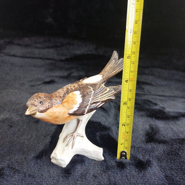 Goebel Bird Figurine CY86 5in Porcelain Songbird W.Germany Vintage 1967 Ornament1