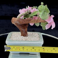 Thumbnail for Hand-Carved Bonsai Jade/Stone Tree Figurine - Pink Flowers & Green Leaves gift10