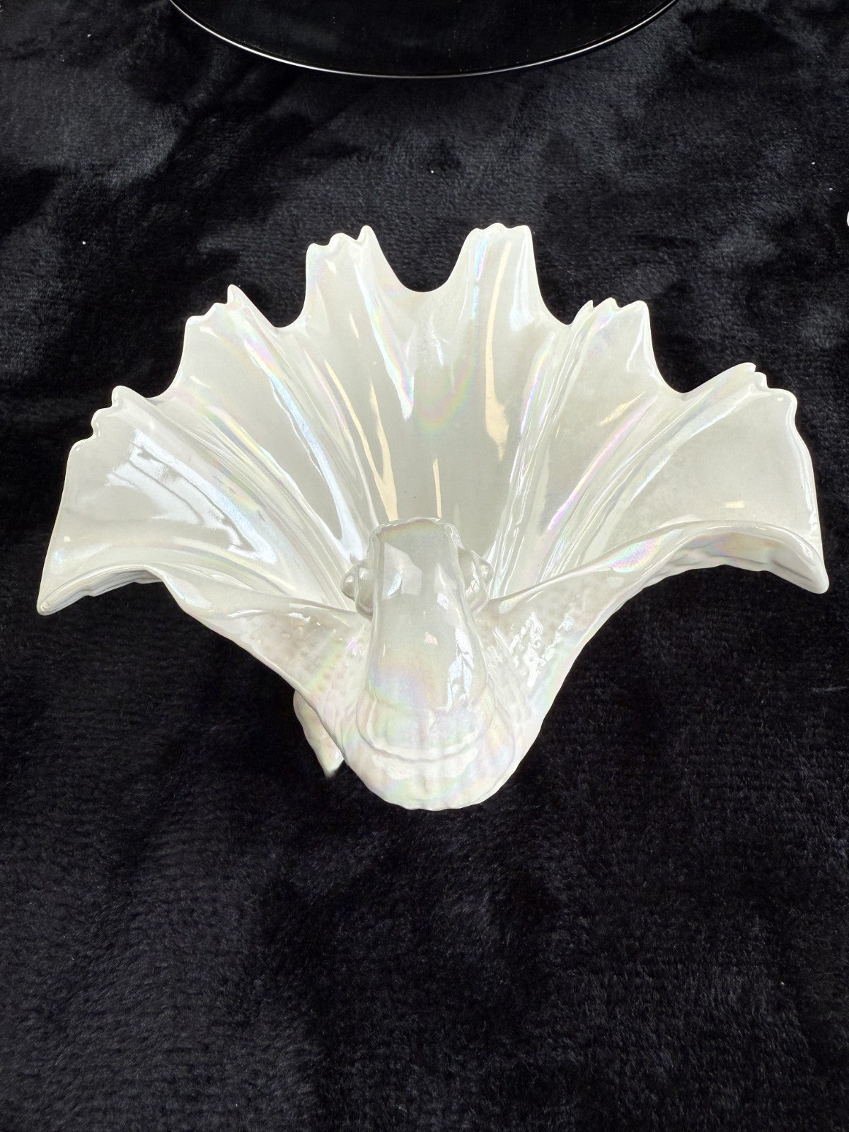 Vintage 1953 Royal Worcester Bone China Iridescent Shell Figurine/Dish  Model G6