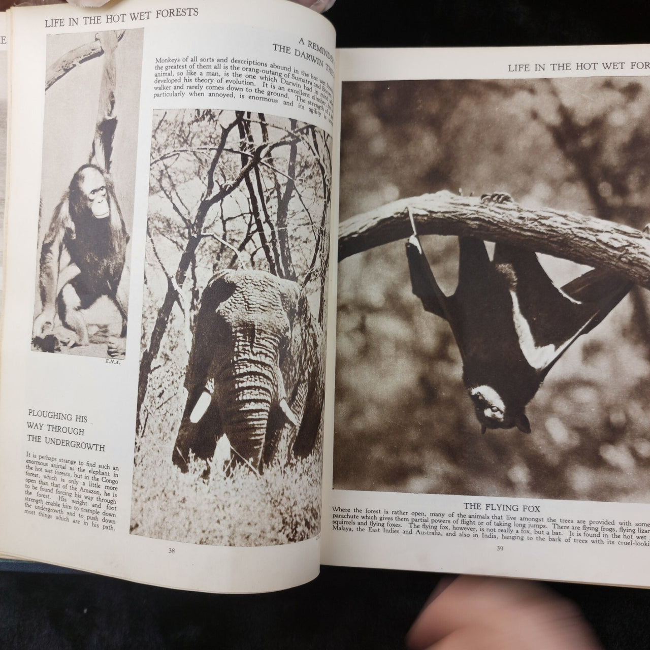 1934 The Story of the World in Pictures Edition Hardback Harley decor vtg book.7