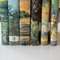 Thumbnail for Vintage Adventure Boy's Stories Book Set 20th Century Classics tarzan lion advan11