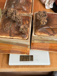 Thumbnail for Studio Landscape Pottery Lidded Boxes Set – Handmade Ceramic Art Storage Jars14