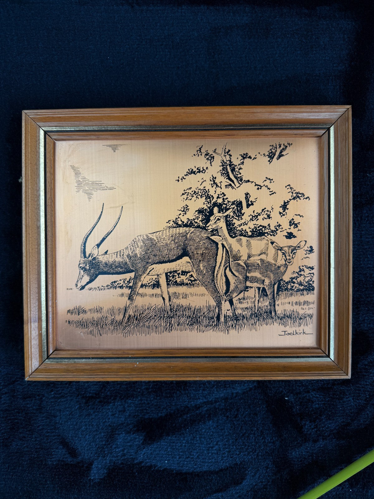 VINTAGE Copper Etchings framed Animals Wild and Tynemouth Castle - A Perfect Set5