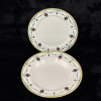 Thumbnail for Antique/Vintage Devon Ware Plates (S. F. & Co.) - Pattern 