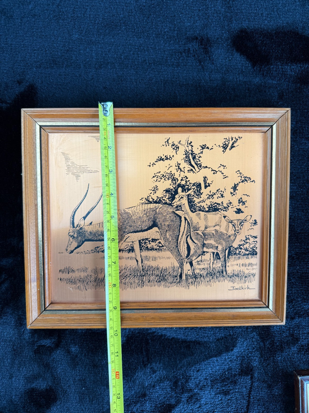 VINTAGE Copper Etchings framed Animals Wild and Tynemouth Castle - A Perfect Set12