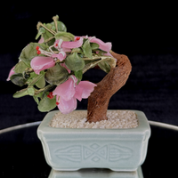 Thumbnail for Hand-Carved Bonsai Jade/Stone Tree Figurine - Pink Flowers & Green Leaves gift1