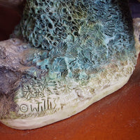 Thumbnail for Border Fine Arts 1998 Long Eared Owl Russell Willis 541729  BFA Birds Figurine10