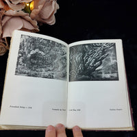 Thumbnail for Routledge The Horseman White Prose and Verse of the New Apocalypse 1941 Vintage8