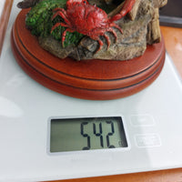 Thumbnail for Border Fine Arts Country Characters A1487 Nipped Otter Figurine Crab 6.5in 200311