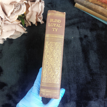  Blind Loyalty E.L. Hazeldel Good Illustrated Prize Book Gilt Spine Color Pl 1901