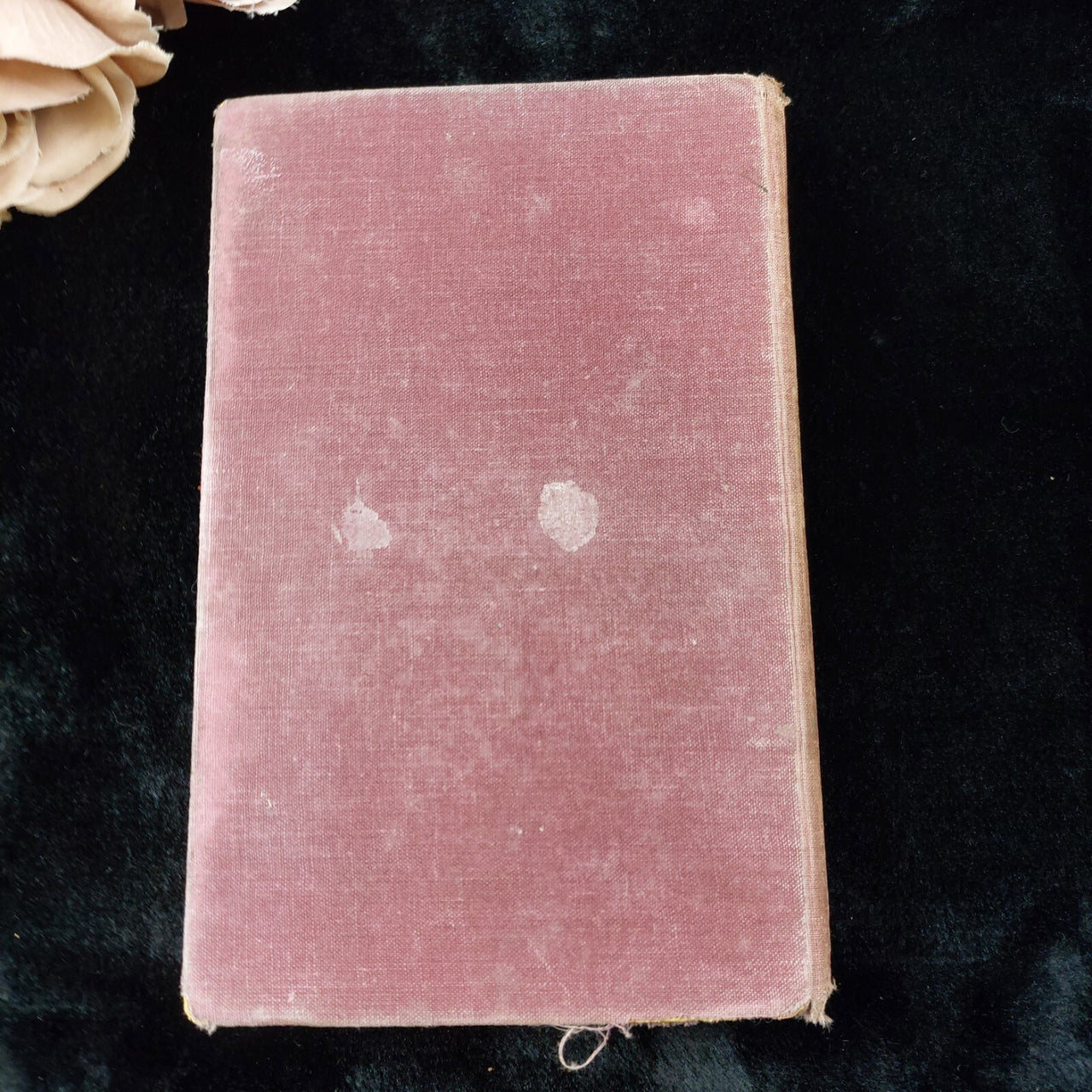 Cicely, Courtnedge Hutchinson HardcoverUnited Kingdom Collectable British  1953 10