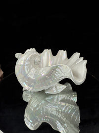 Thumbnail for Vintage 1953 Royal Worcester Bone China Iridescent Shell Figurine/Dish  Model G2