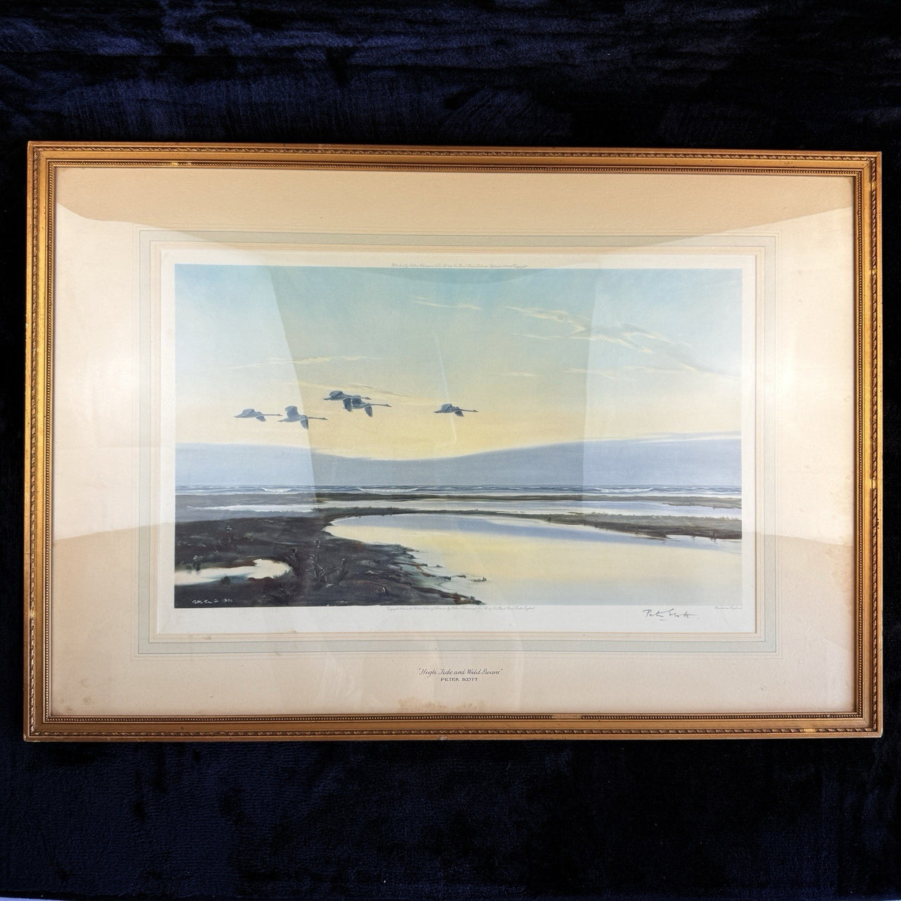Limited "High Edition Tide and Wild Swans" Signed Proof by Sir Peter Scott 19360