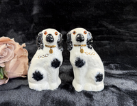 Thumbnail for Antique Staffordshire Porcelain Black White Pair King Charles Spaniel Glass eyes14