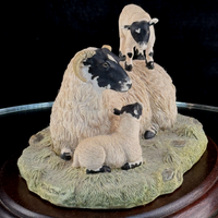 Thumbnail for Border Fine Arts King of the Castle JH37 1989 Figurine Sheep D. Walton J Herriot6