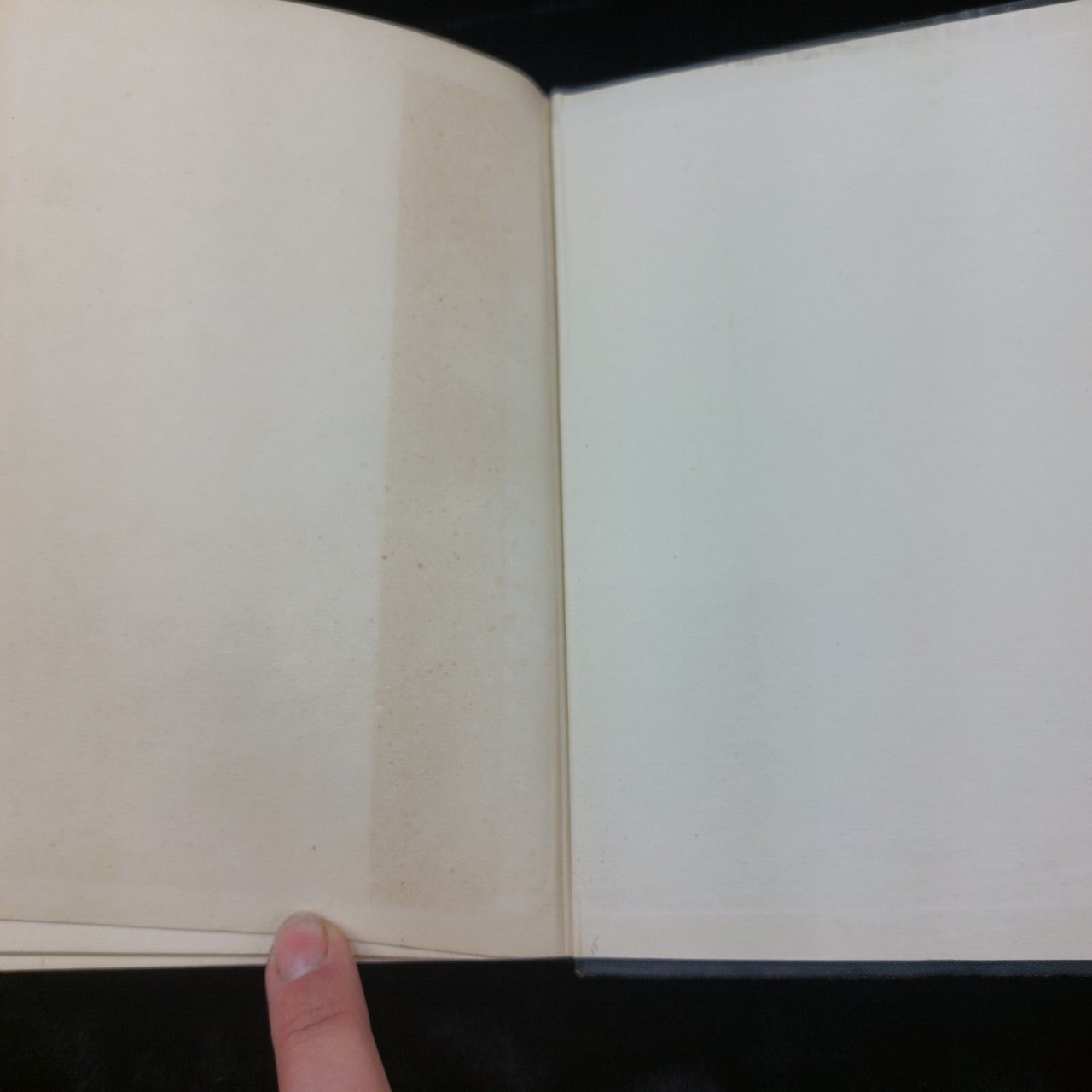 First Edition A Hundred Years of Sea Stories Cassell Hardcover  1955 4
