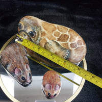 Thumbnail for Rare M. Leadbetter 1978-80 Painted Stone Animals Seal, Wood Mouse, Harvest Mouse2