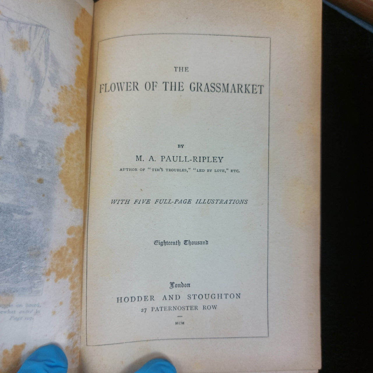 Paull Ripley Flower of the Grassmarket Book Decorated Cover 1900 Hodder antique9